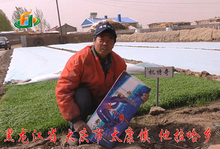 大慶(qing)-太康(kang)鎮(zhen)-用戶(hu)迴訪視頻