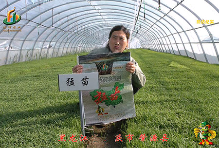 大慶 肇源縣-迴訪視(shi)頻