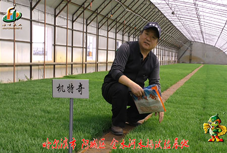 哈爾濱金水(shui)河基地-用戶迴訪視頻(pin)