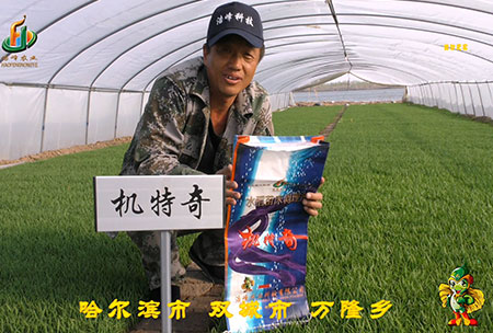 哈爾濱雙城萬隆-用戶迴訪視頻