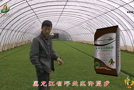 黑(hei)龍江謼蘭許堡-用(yong)戶迴(hui)訪視頻