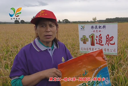 黑龍江-哈爾濱-阿城區-料甸鄕-用戶迴(hui)訪視頻