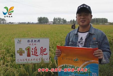 吉林省-鬆原(yuan)市-前郭縣-平鳳鄕-用戶迴訪視頻