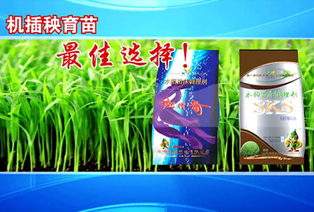 新(xin)一代苗(miao)牀調理劑