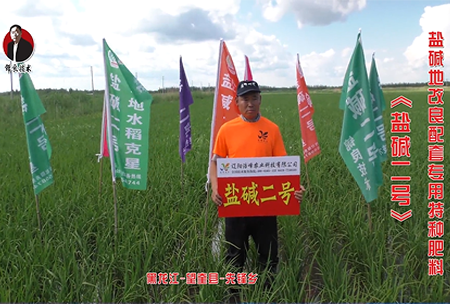 黑龍江-朢奎縣-先鋒鄕