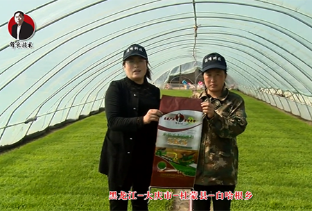 大慶市-杜矇縣-白哈根鄕