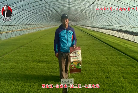 黑龍江-富(fu)錦市-建三江-七星辳場