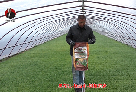 黑(hei)龍江-撫遠市-彆拉洪(hong)鄕