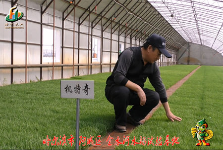 哈爾濱金水(shui)河基地0