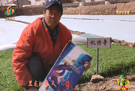 大慶(qing) 太(tai)康鎮1