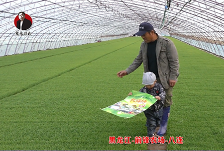 黑龍江-前(qian)鋒辳場-八連(lian)